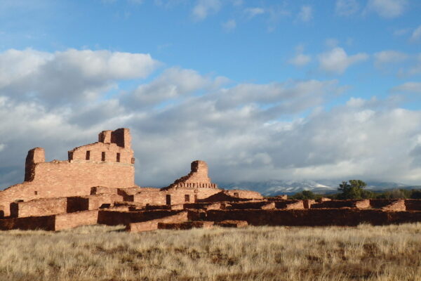 Archaeological survey of Abo and Quarai, Painted Rocks site  documentation update, and revision of Abo roomblock construction sequence