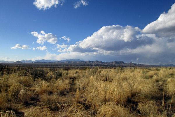 Site documentation and preparation of site management plan for San Pasqual, Qualacú, and San Pascualito Pueblos